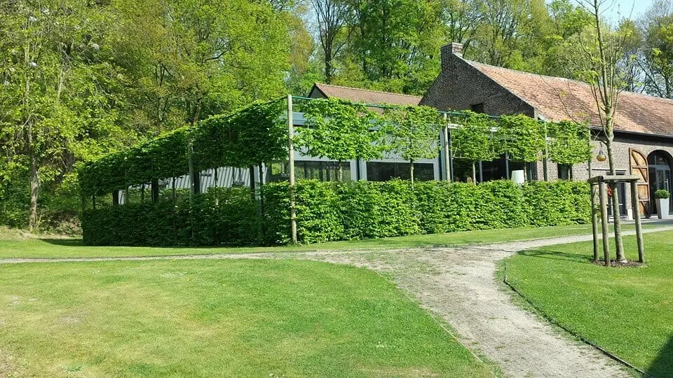 2000 Series Outdoor Shelter with some decorative landscaping to hide it