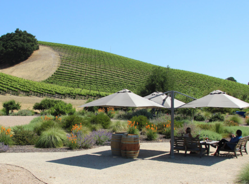 niner wine estates with p6 square trio umbrellas shading an outdoor seating area